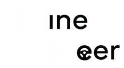 Shine Steer